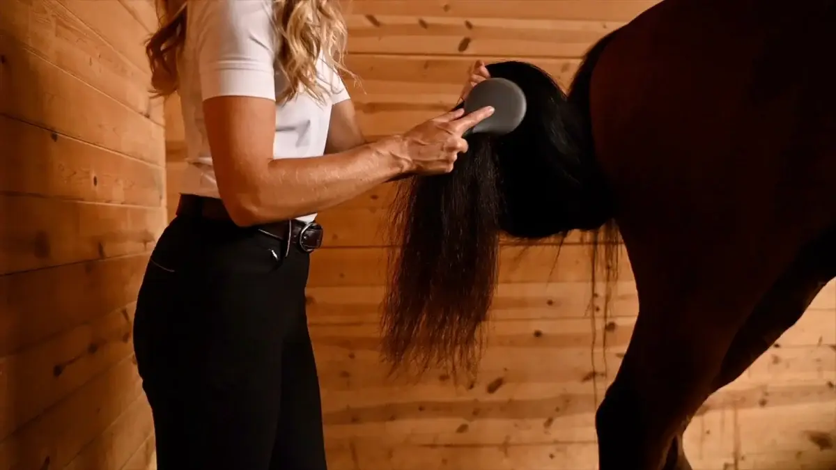 demelant-naturel-crin-chevaux