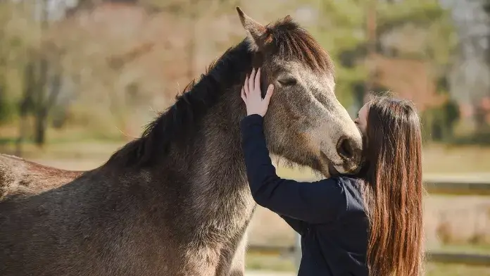 equirencontres-festival-equitation-relationnelle