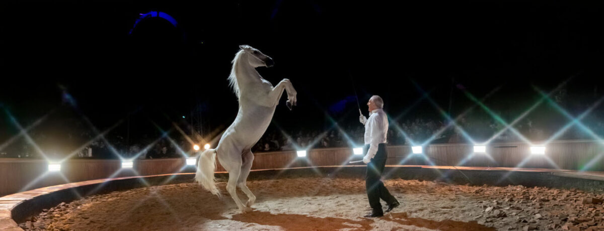 folies-gruss-comedie-musicale-equestre-beziers-ete-2026