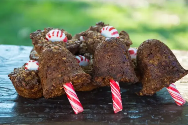 idee-recette-friandises-saines-chevaux