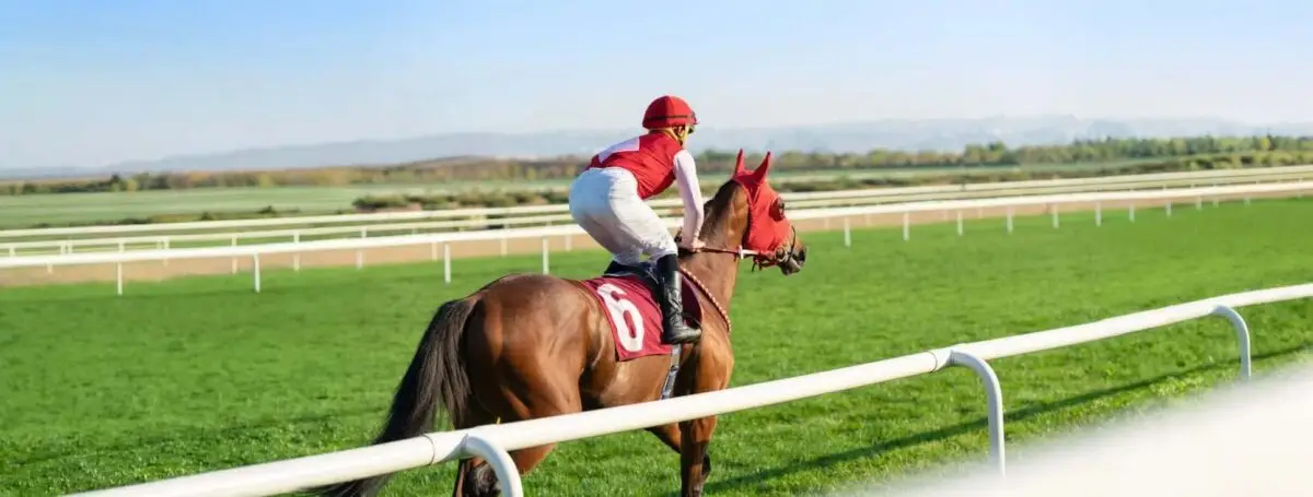 meilleur-cheval-de-course-de-tous-les-temps