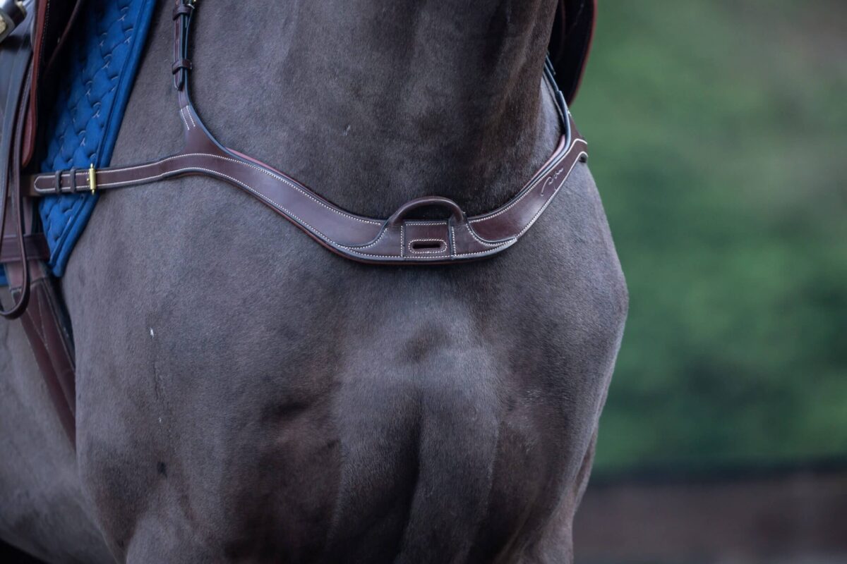 pourquoi-mettre-collier-chasse-cheval