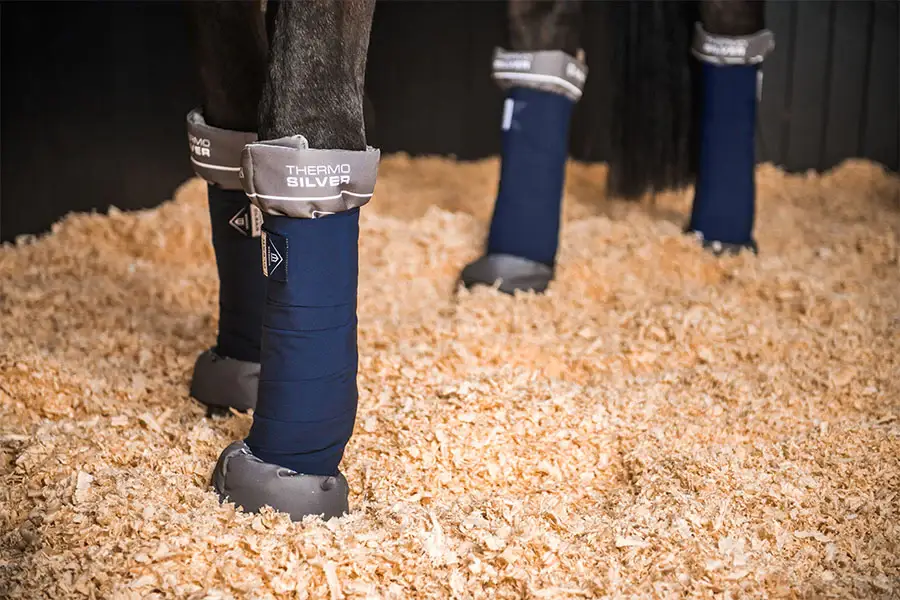 quand-mettre-bande-de-repos-cheval