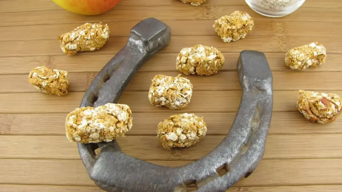 recettes-bonbons-chevaux