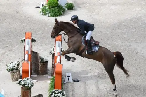 championnats-du-monde-saut-obstacles-2026-allemagne-domine