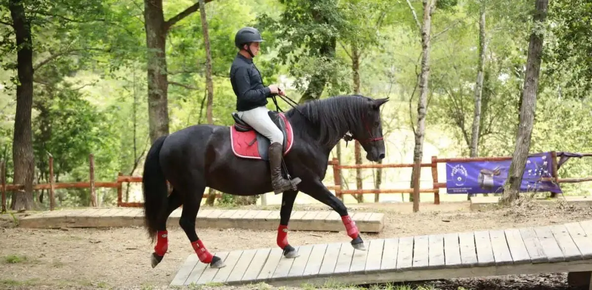 france-argent-championnats-europe-mountain-trail