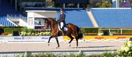mondiaux-2026-concours-complet-resultat-premiere-journee-dressage