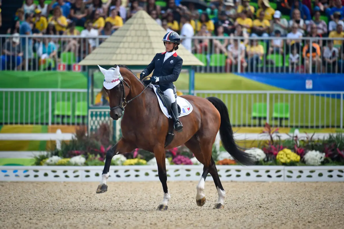 mondiaux-2026-horaires-francais-para-dressage