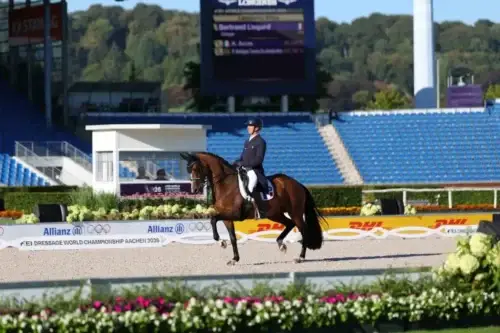 mondiaux-dressage-2026-premiere-journee