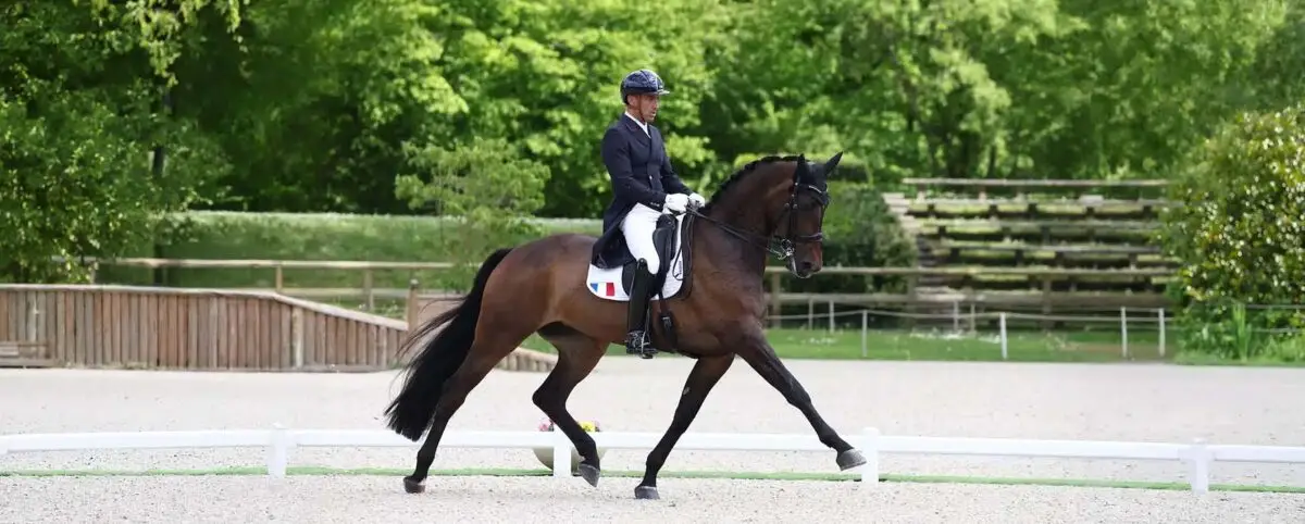 mondiaux-dressage-2026-statistiques
