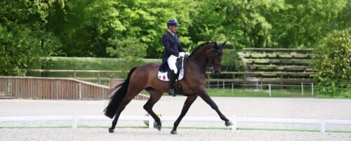 mondiaux-dressage-2026-statistiques