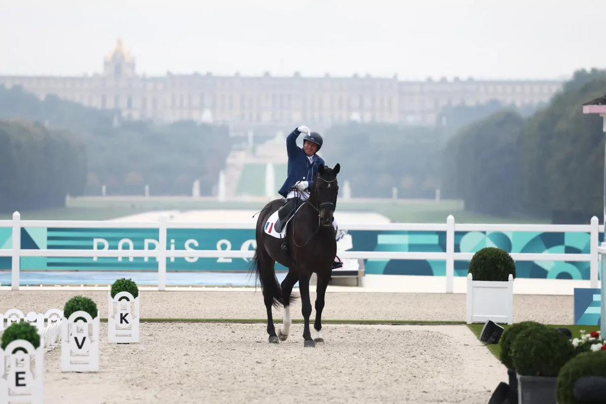 qualification-belgique-jo-2028-dressage