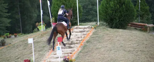 selection-française-championnats-du-monde-trec-2026-barcelone
