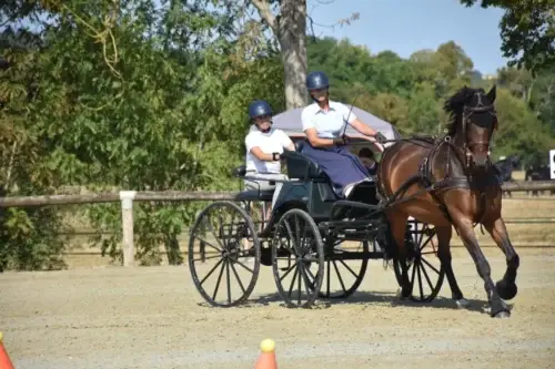 Quelle équipe a gagné les championnats du monde d'attelage à Munich ?