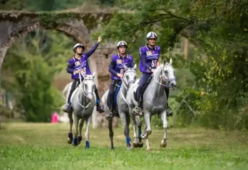 championnats-du-monde-endurance-jeunes-chevaux-medaille-france