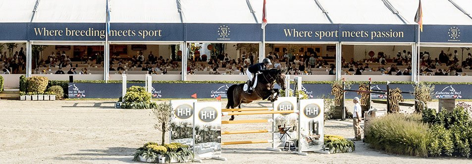 championnats-du-monde-jeunes-chevaux-jumping-lanaken-2026-date-programme