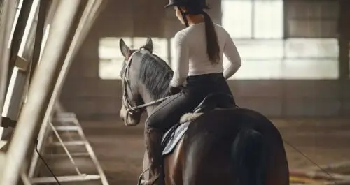 equipement-equestre-bien-etre-animal-innovations