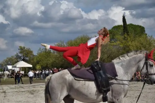 fete-du-cheval-pertuis-2026