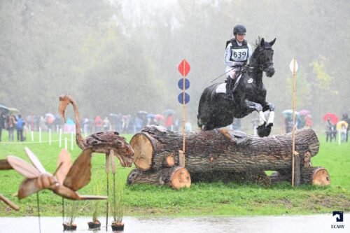 mondial-du-lion-2026-dates-programme