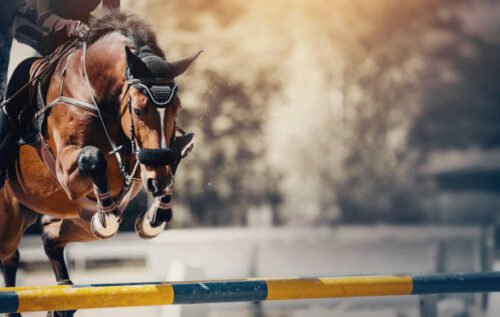 saint-tropez-premier-jumping-league-juin-2027