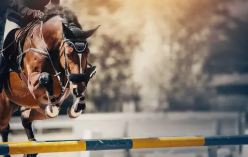 saint-tropez-premier-jumping-league-juin-2027