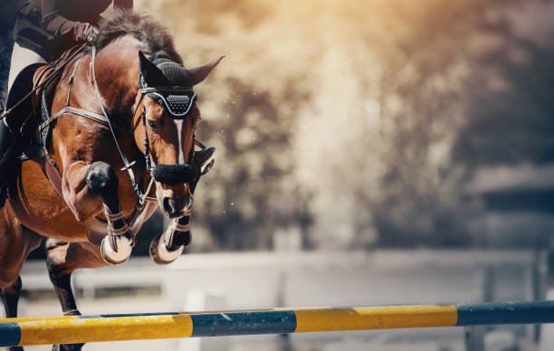 saint-tropez-premier-jumping-league-juin-2027