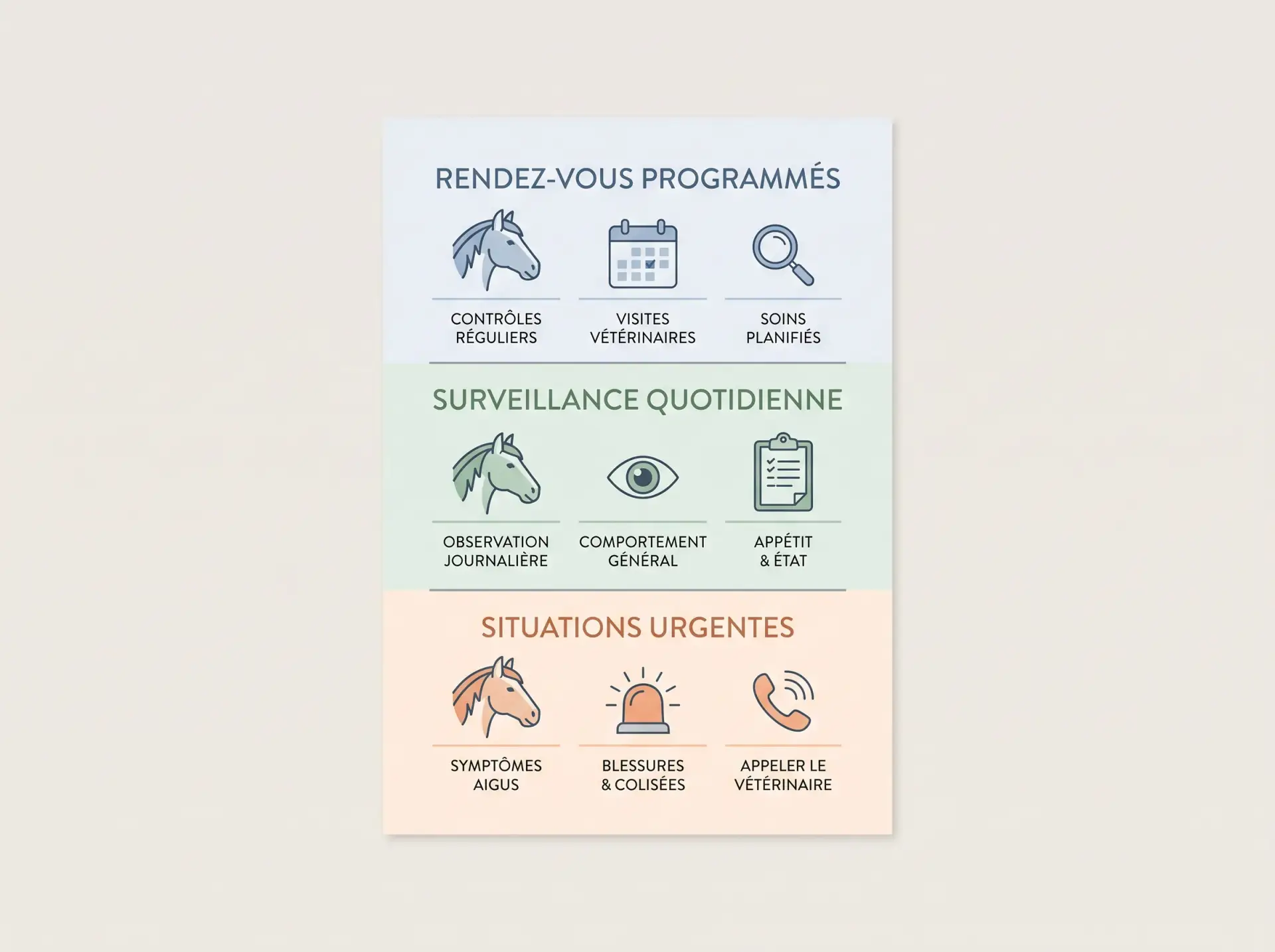 Prévention, surveillance et urgence Schéma distinguant le planning préventif, la surveillance quotidienne et les situations urgentes pour un cheval.