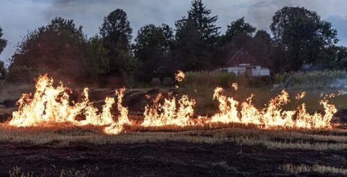 aide-centres-equestres-incendies-bilan