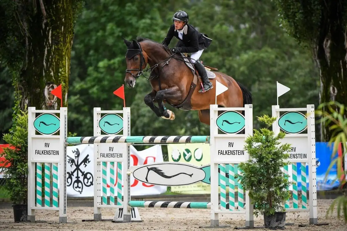 anthony-bourquard-victoire-grand-prix-csi