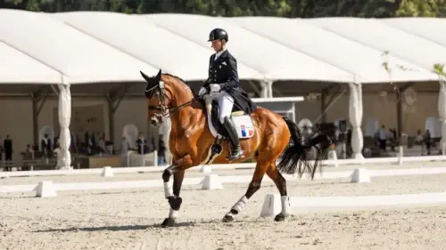 championnats-de-france-as-dressage-2026-resultats