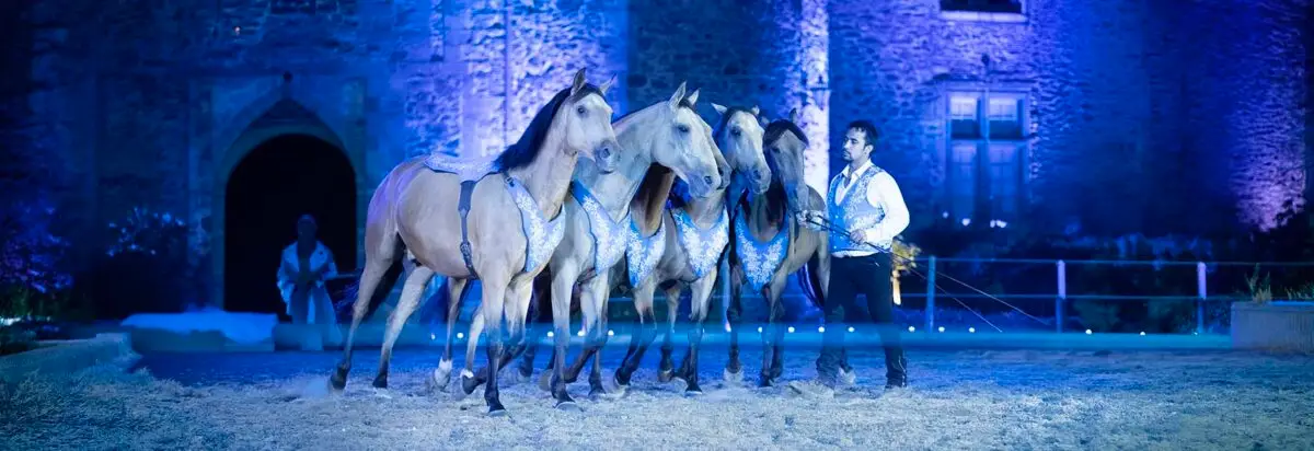 festival-artcheval-saumur-2026