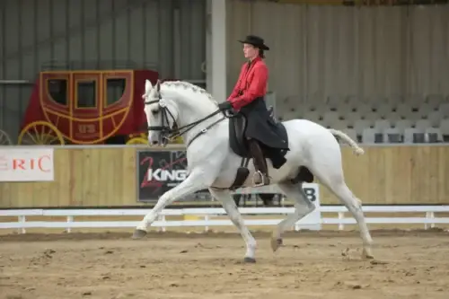masters-cheval-iberique-2026-medailles-france