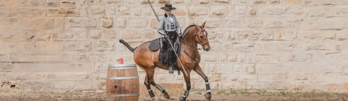 Combien de médaille pour la france au championnats d'europe d'équitation de travail ?