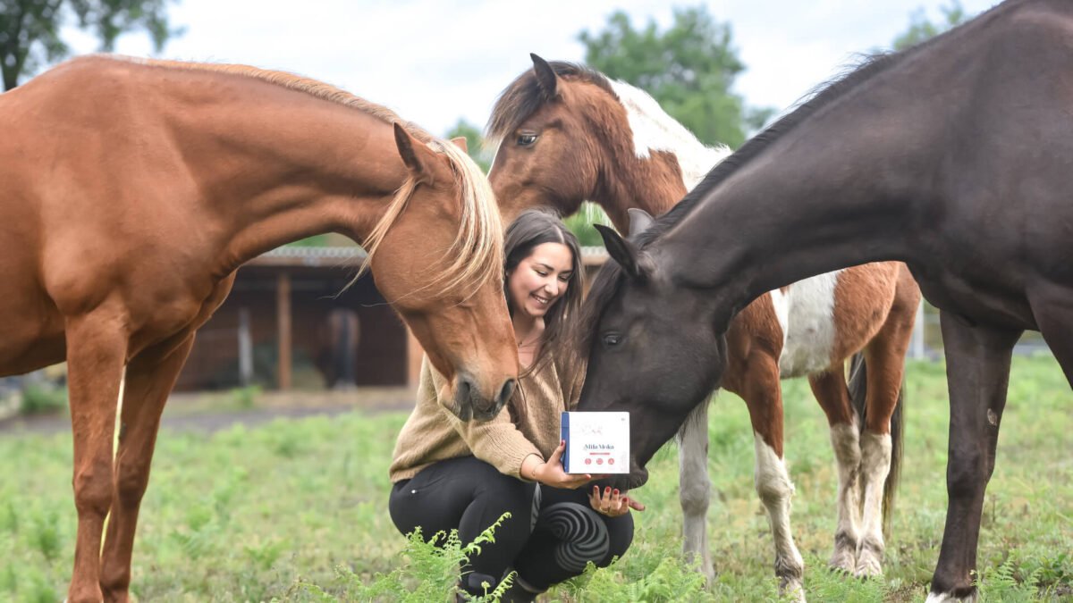 Pourquoi le foin est insuffisant pour les chevaux ?