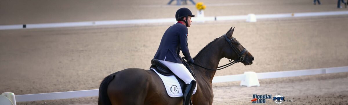 mondial-du-lion-2026-résultats-dressage-7-ans