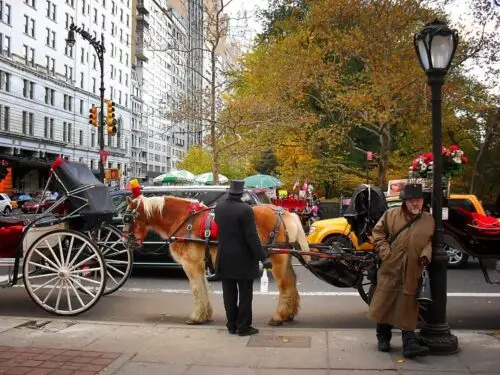 new-york-interdiction-caleches-central-park-2028
