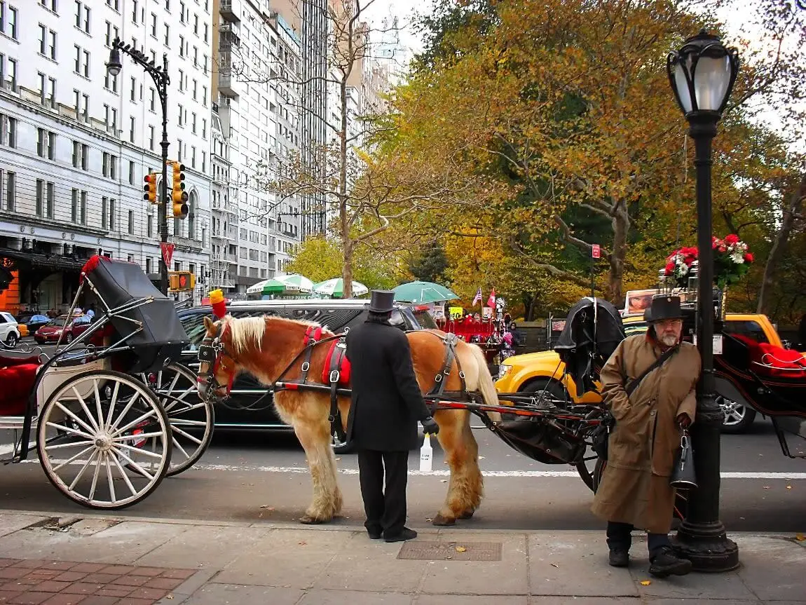 new-york-interdiction-caleches-central-park-2028