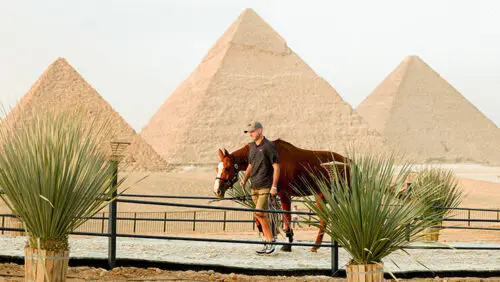 pieter-devos-remporte-grand-prix-caire-2026