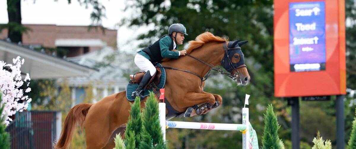 Combien de médaille pour Ramzy al duhami aux jeux asiatiques ?