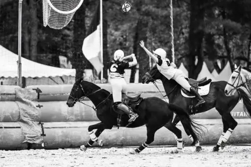 roxanne-dubois-championne-horse-ball-decede-27-ans