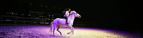spectacles-haras-nationaux-vacances-automne-2026